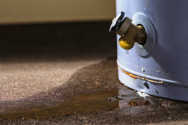 Best Ceiling water damage repair  in Niagara University, NY