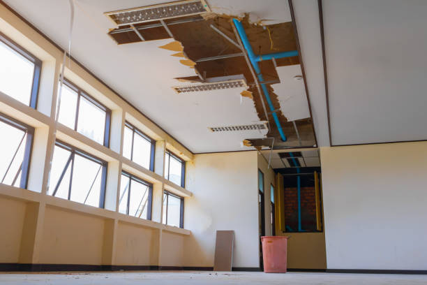 Best Flooded house restoration  in Niagara University, NY