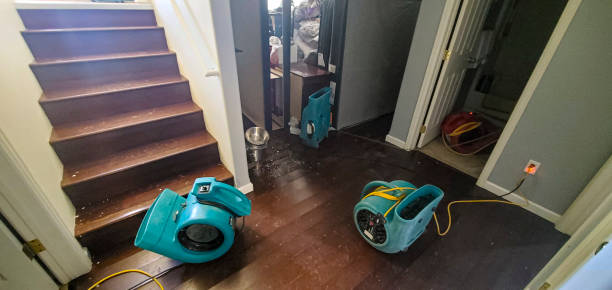 Best Water damage restoration services  in Niagara University, NY
