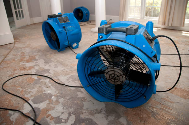 Best Local water damage restoration  in Niagara University, NY