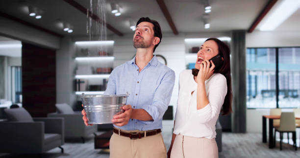 Best 24/7 water damage repair  in Niagara University, NY